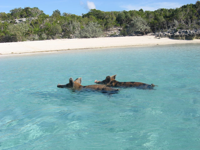 Staniel Cay