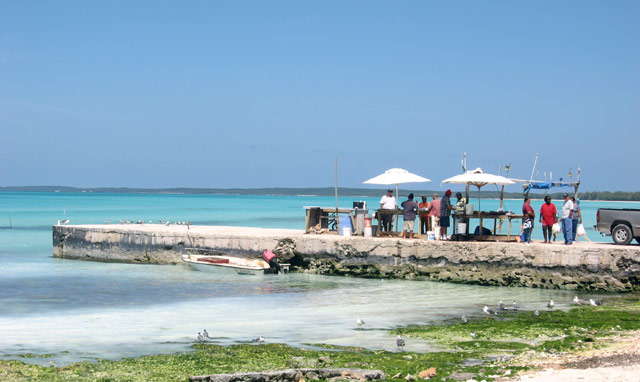 Tarpun Bay fishers