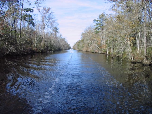 Dismal Swamp Canal